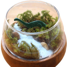 画像をギャラリービューアに読み込む, 苔テラリウム 手作りキット 恐竜