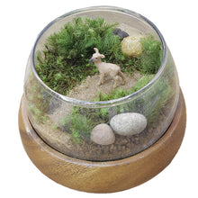 画像をギャラリービューアに読み込む, 苔テラリウム 手作りキット 鹿