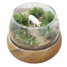 画像をギャラリービューアに読み込む, 苔テラリウム 手作りキット 豚