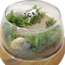 画像をギャラリービューアに読み込む, 苔テラリウム 手作りキット 牛