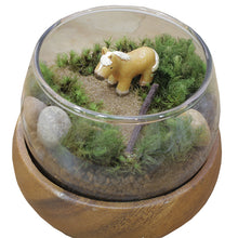 画像をギャラリービューアに読み込む, 苔テラリウム 手作りキット 馬
