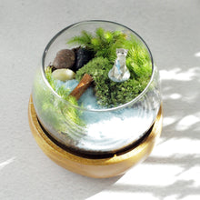 画像をギャラリービューアに読み込む, 苔テラリウムキット カワウソの防水フィギュア付きキット