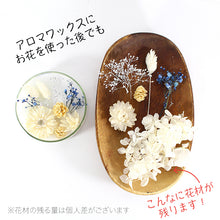 画像をギャラリービューアに読み込む, アロマワックスシャーレ 手作りキット クール