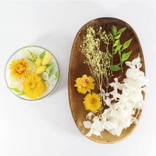 画像をギャラリービューアに読み込む, アロマワックスシャーレ 手作りキット フレッシュ