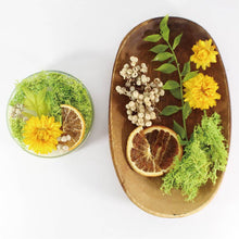 画像をギャラリービューアに読み込む, アロマワックスシャーレ 手作りキット  モス