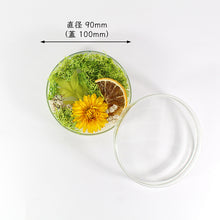 画像をギャラリービューアに読み込む, アロマワックスシャーレ 手作りキット  モス