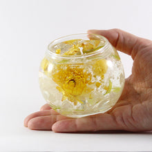 画像をギャラリービューアに読み込む, ボタニカル ジェルキャンドル 手作りキット フレッシュ