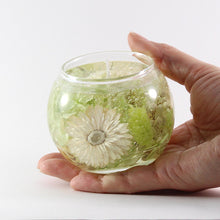 画像をギャラリービューアに読み込む, ボタニカル ジェルキャンドル 手作りキット ナチュラル