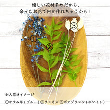 画像をギャラリービューアに読み込む, ボタニカルリードディフューザー 手作りキット ブルー