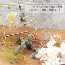 画像をギャラリービューアに読み込む, ドライフラワー 5種 詰め合わせ グリーン