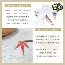 画像をギャラリービューアに読み込む, もみじ ハーバリウム 手作りキット ドロップ瓶