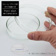 画像をギャラリービューアに読み込む, アロマワックスシャーレ 手作りキット フレッシュ