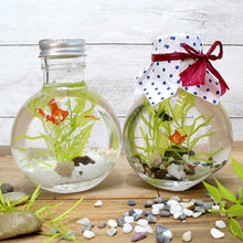 画像をギャラリービューアに読み込む, 金魚 ハーバリウム 手作りキット