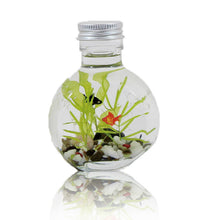 画像をギャラリービューアに読み込む, 金魚 ハーバリウム 手作りキット