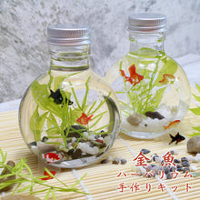 画像をギャラリービューアに読み込む, 金魚 ハーバリウム 手作りキット