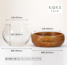 画像をギャラリービューアに読み込む, 苔テラリウム 手作りキット 馬