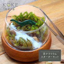 画像をギャラリービューアに読み込む, 苔テラリウム 手作りキット 恐竜