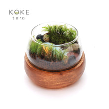 画像をギャラリービューアに読み込む, 苔テラリウムキット カワウソの防水フィギュア付きキット
