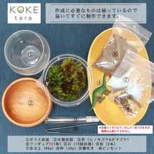 画像をギャラリービューアに読み込む, 苔テラリウム 手作りキット 恐竜