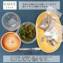 画像をギャラリービューアに読み込む, 苔テラリウムキット カワウソの防水フィギュア付きキット