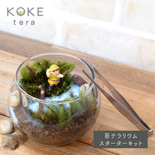 画像をギャラリービューアに読み込む, 苔テラリウム 手作りキット 冒険家 女の子