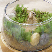 画像をギャラリービューアに読み込む, 苔テラリウム 手作りキット 鹿