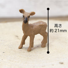 画像をギャラリービューアに読み込む, 苔テラリウム 手作りキット 鹿