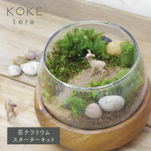 画像をギャラリービューアに読み込む, 苔テラリウム 手作りキット 鹿