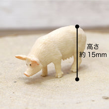 画像をギャラリービューアに読み込む, 苔テラリウム 手作りキット 豚