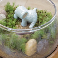 画像をギャラリービューアに読み込む, 苔テラリウム 手作りキット ゾウ