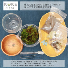 画像をギャラリービューアに読み込む, 苔テラリウム 手作りキット ゾウ