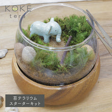 画像をギャラリービューアに読み込む, 苔テラリウム 手作りキット ゾウ