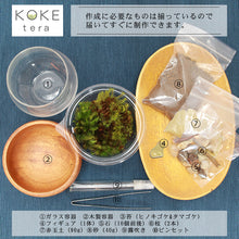 画像をギャラリービューアに読み込む, 苔テラリウム 手作りキット カピバラ