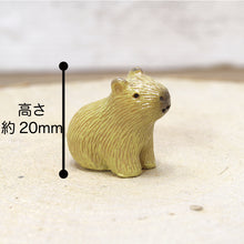 画像をギャラリービューアに読み込む, 苔テラリウム 手作りキット カピバラ