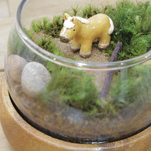 画像をギャラリービューアに読み込む, 苔テラリウム 手作りキット 馬