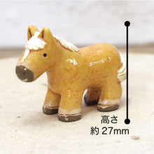 画像をギャラリービューアに読み込む, 苔テラリウム 手作りキット 馬