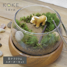 画像をギャラリービューアに読み込む, 苔テラリウム 手作りキット 馬