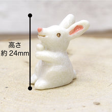 画像をギャラリービューアに読み込む, 苔テラリウム 手作りキット うさぎ