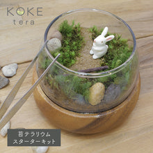 画像をギャラリービューアに読み込む, 苔テラリウム 手作りキット うさぎ