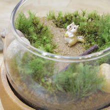 画像をギャラリービューアに読み込む, 苔テラリウム 手作りキット リス