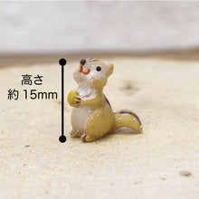 画像をギャラリービューアに読み込む, 苔テラリウム 手作りキット リス