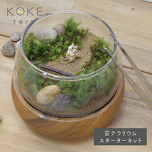 画像をギャラリービューアに読み込む, 苔テラリウム 手作りキット リス