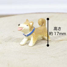 画像をギャラリービューアに読み込む, 防水マスコット 柴犬