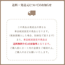 画像をギャラリービューアに読み込む, 苔テラリウム 手作りキット カピバラ