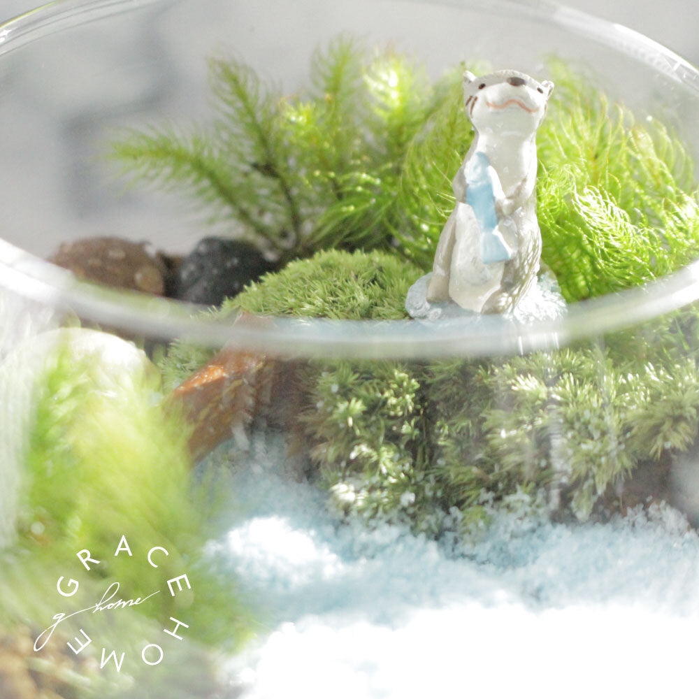 苔テラリウムキット カワウソの防水フィギュア付きキット – GRACE HOME